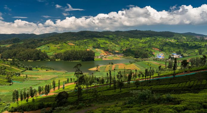 ooty tour package